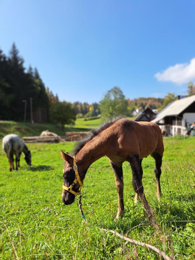 Апартаменти Tourist Farm Pr' Maretc Бохінська Бістріца Екстер'єр фото