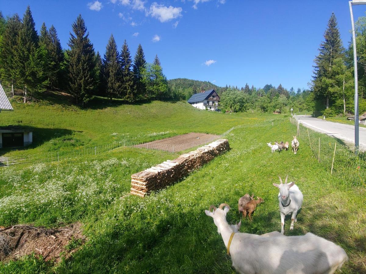 Апартаменти Tourist Farm Pr' Maretc Бохінська Бістріца Екстер'єр фото