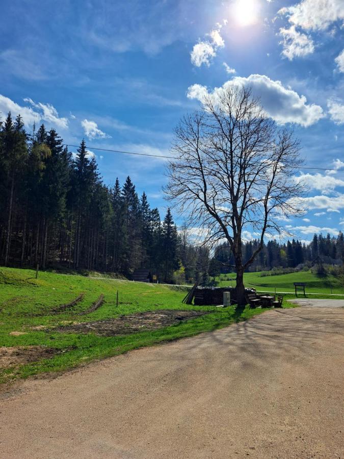 Апартаменти Tourist Farm Pr' Maretc Бохінська Бістріца Екстер'єр фото