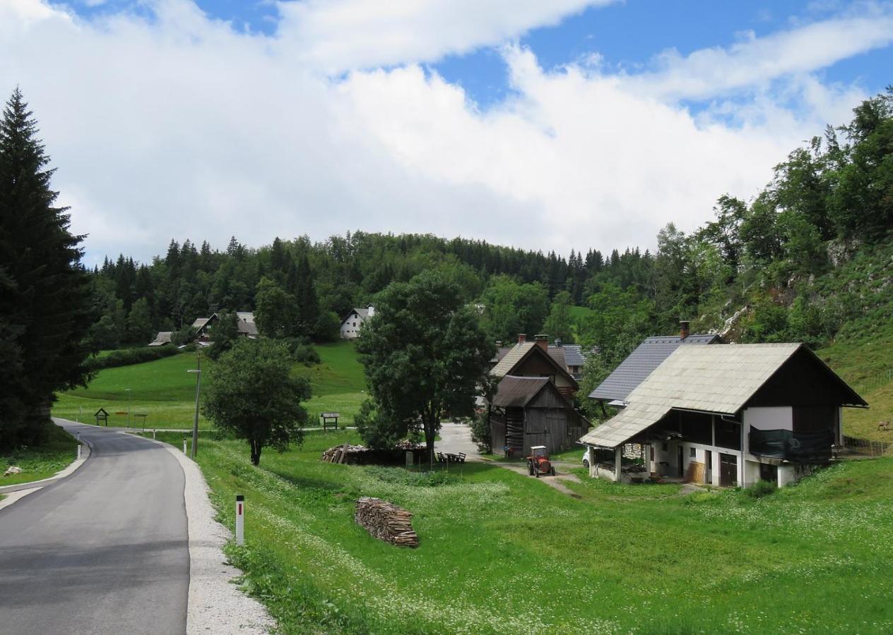 Апартаменти Tourist Farm Pr' Maretc Бохінська Бістріца Екстер'єр фото