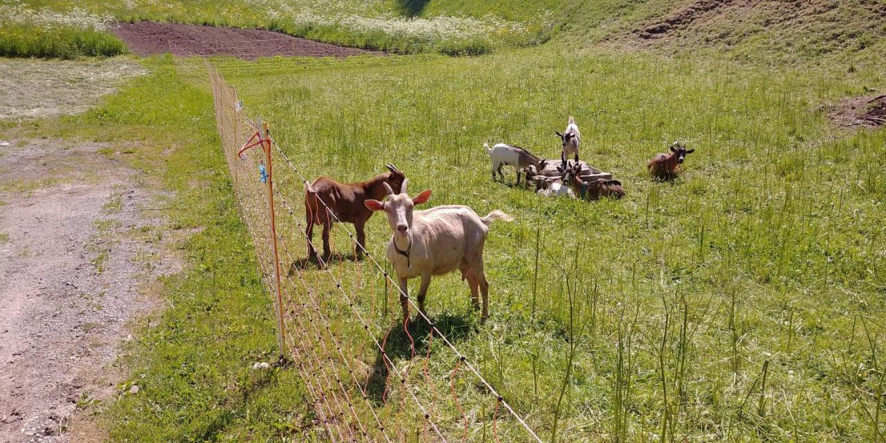 Апартаменти Tourist Farm Pr' Maretc Бохінська Бістріца Екстер'єр фото