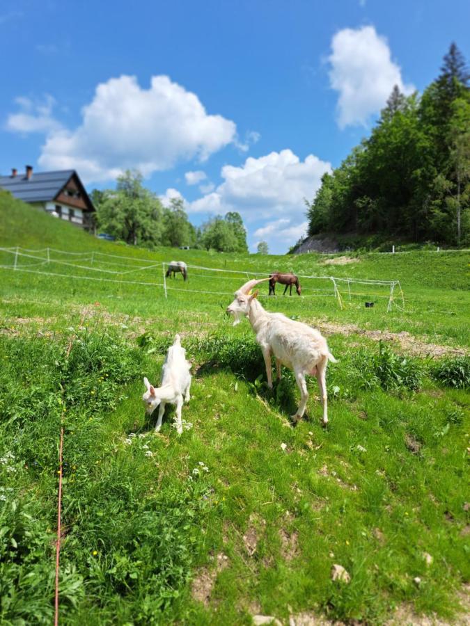 Апартаменти Tourist Farm Pr' Maretc Бохінська Бістріца Екстер'єр фото